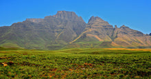 Load image into Gallery viewer, Catching Dragons in the Drakensberg