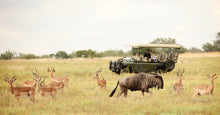 Cargar imagen en el visor de la galería, El verdadero safari africano 